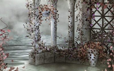 🖼️ La magia del estudio: ventajas de una sesión fotográfica en interior