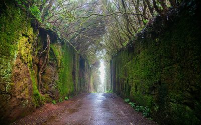 🌿 Sesiones en exteriores: los mejores lugares para fotografiar comuniones y bautizos