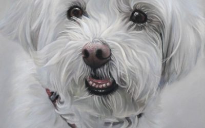 🐾 Cómo preparar una sesión de fotos familiar con mascotas en casa.