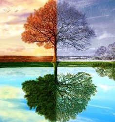 🍂🌸 Temáticas estacionales al aire libre: la naturaleza como escenario