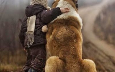 Fotografía de mascotas con niños: capturando momentos únicos.