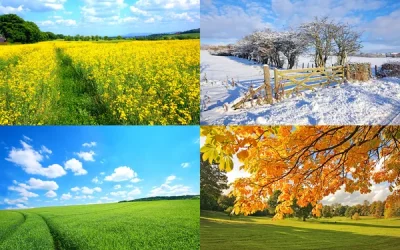 🌸 Cómo planificar sesiones familiares según la estación del año
