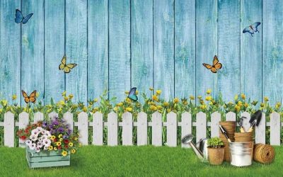 Cómo preparar a los niños para una sesión de fotos