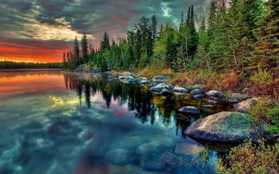 La importancia de capturar momentos reales.