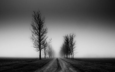 El encanto de las fotografías en blanco y negro