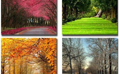 Las cuatro estaciones ofrecen escenarios únicos para tus fotografías