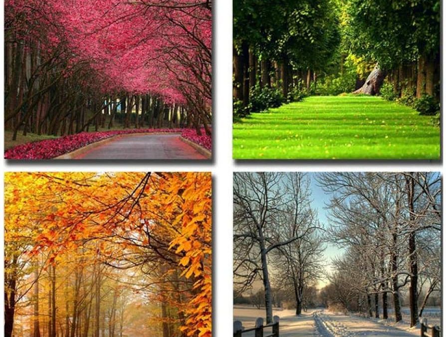 Las cuatro estaciones ofrecen escenarios únicos para tus fotografías
